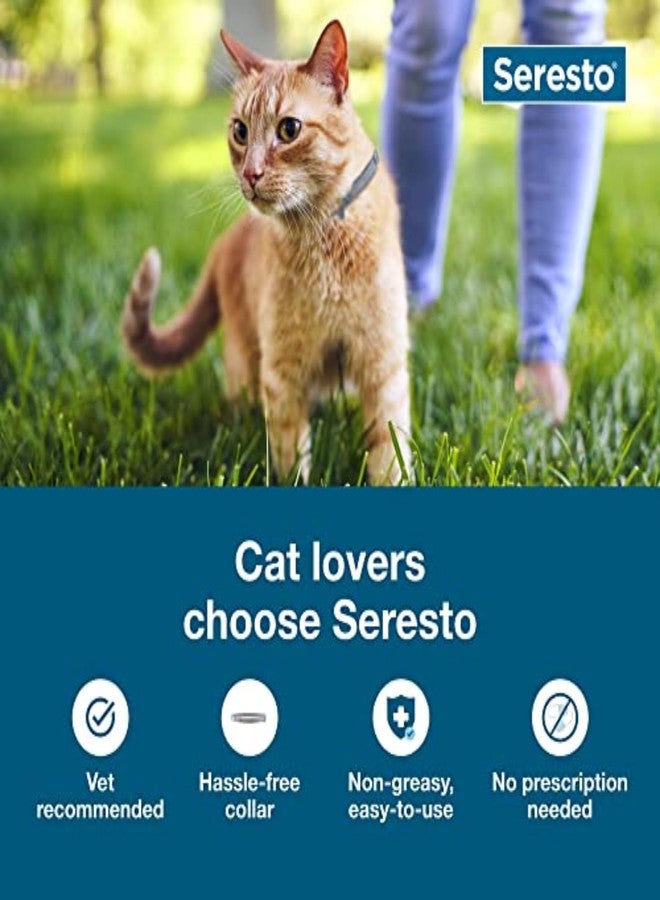 Seresto Cat Vet-Recommended Flea & Tick Treatment & Prevention Collar for Cats, 8 Months Protection | (Pack of 2) - Image 3